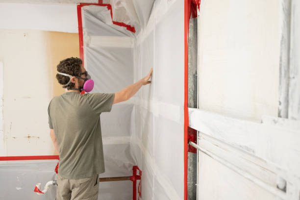 Best Basement Mold Removal  in Woodland Park, NE