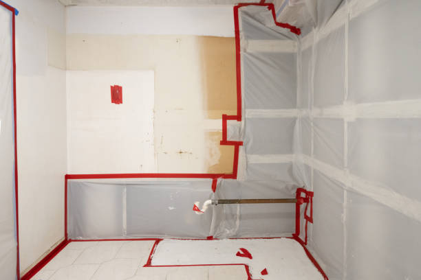 Best Mold Documentation for Insurance Claims  in Woodland Park, NE