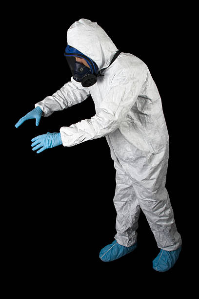 Reliable Woodland Park, NE Mold Removal Solutions