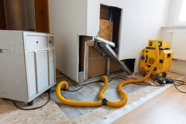 Best Indoor Air Quality Assessment  in Woodland Park, NE